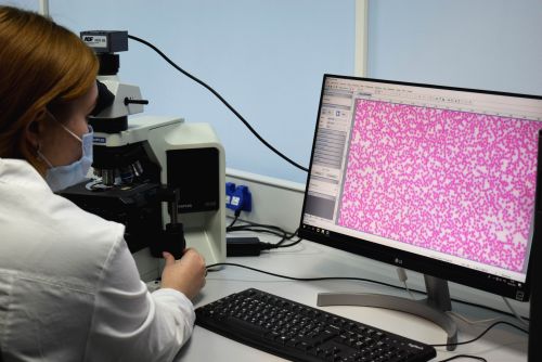 Ученые университета разработали компонент для лечения заболеваний ЖКТ