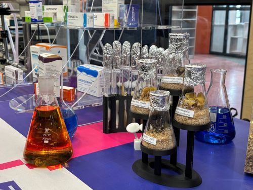  Выставка молодежных проектов на региональной Неделе науки