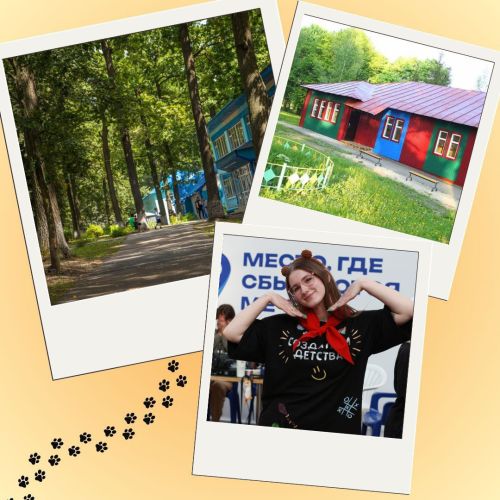 Сергей Кравцов: Профессия вожатого – это призвание