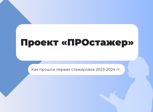 Итоги  проекта «ПРОстажер»