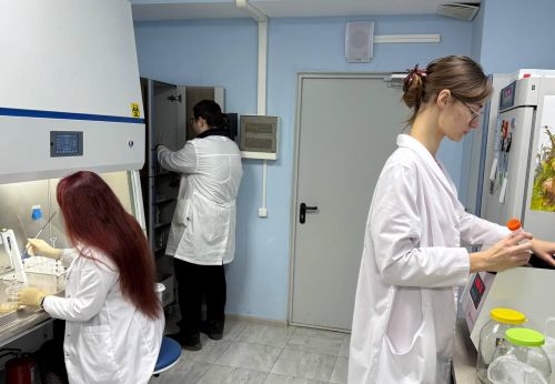 Ученые-химики Университета Льва Толстого опубликовали статью в научном ежемесячнике «Processes»