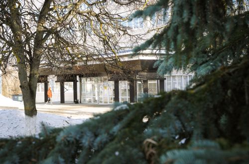 Институт детства подвел итоги конкурса научно-исследовательских работ студентов